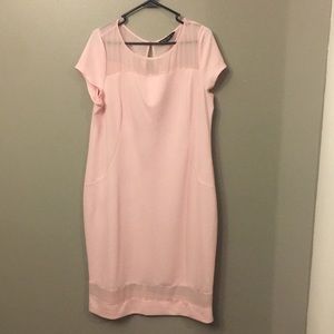 Dorothy Perkins dress